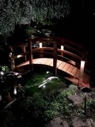 Here is a Beautiful High arched bridge over a koi pond.
